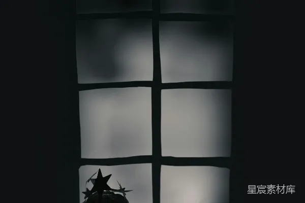 高清摄影 窗外的剪影