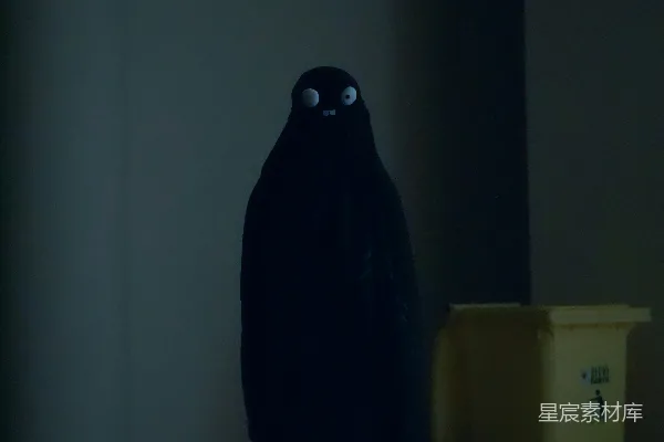 高清摄影 幽暗中的神秘黑色身影