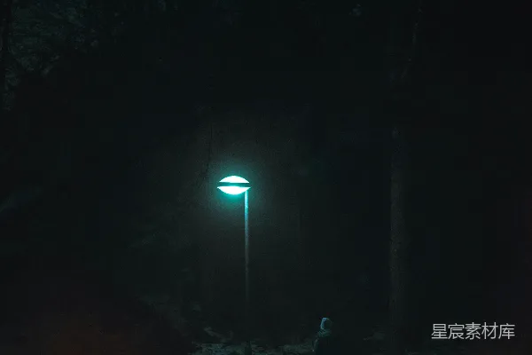高清摄影 夜色下的孤独漫步