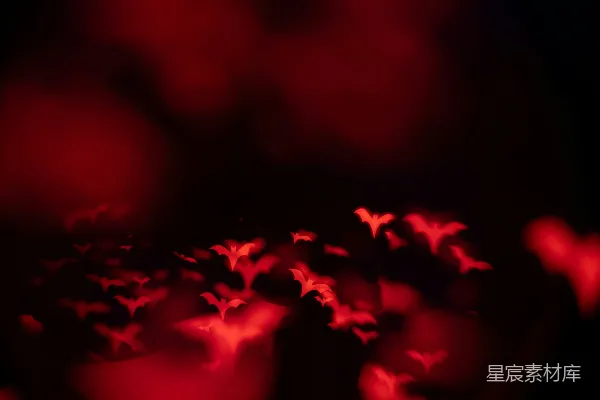 高清摄影 红光中的蝙蝠群