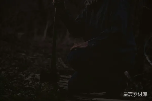 高清摄影 夜幕下的森林守望者