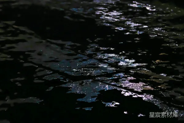 高清摄影 夜晚的水面反射
