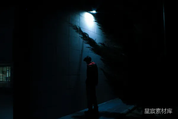高清摄影 夜的守望