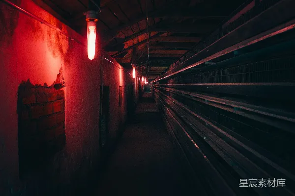 高清摄影 昏暗红光下的废弃走廊