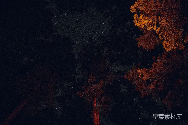 高清摄影 夜空下的灯火与星点