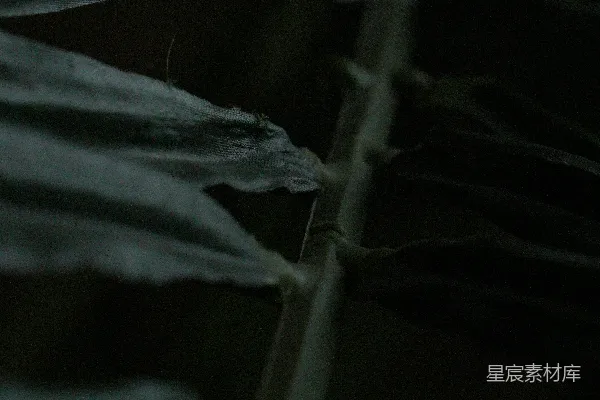 高清摄影 夜晚的建筑结构