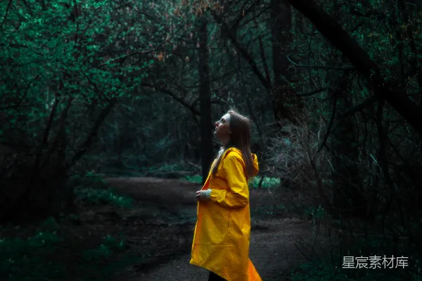 高清摄影 森林中的黄色雨衣
