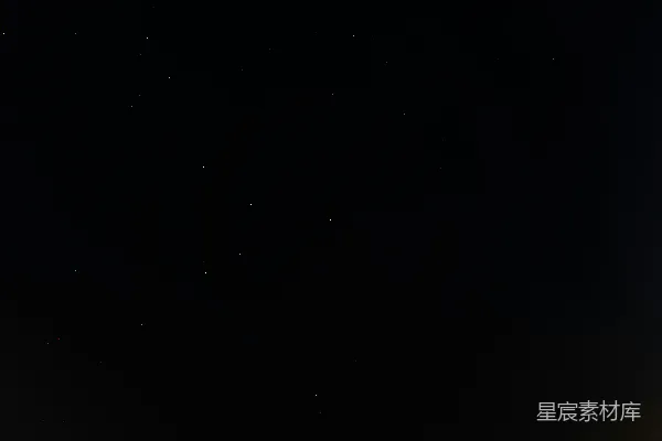 高清摄影 夜空下的森林与繁星