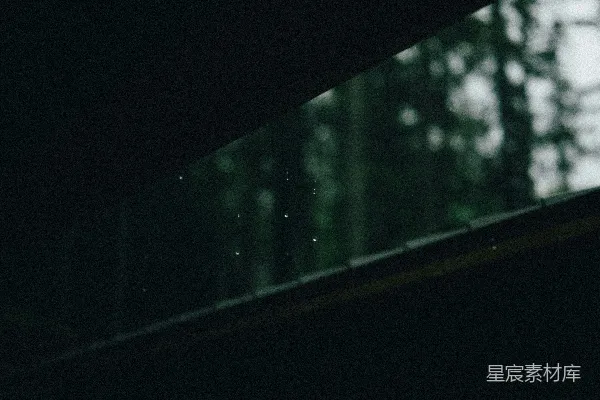高清摄影 雨夜窗边的回忆