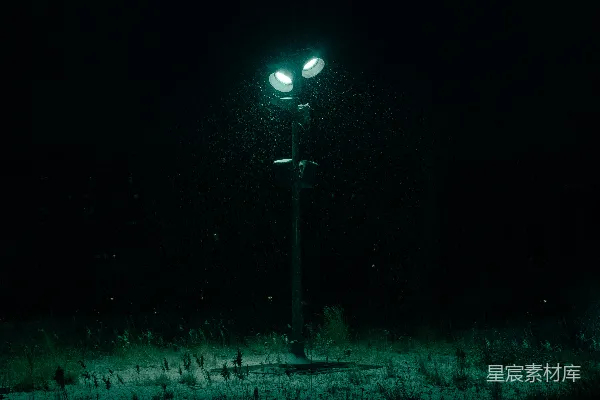 高清摄影 夜雨中的路灯