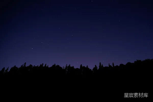 高清摄影 夜空下的森林剪影