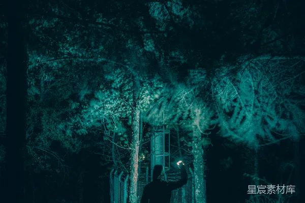 高清摄影 夜色中的神秘探险