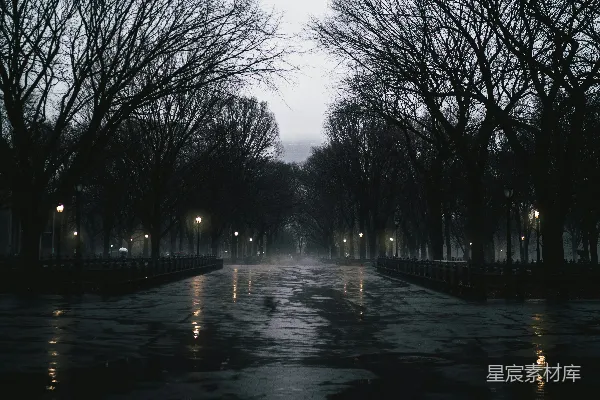 高清摄影 雨后公园的静谧时光