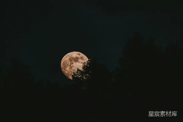 高清摄影 夜空中的满月