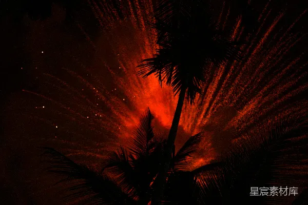 高清摄影 火山爆发下的棕榈树