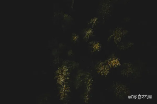 高清摄影 森林俯瞰