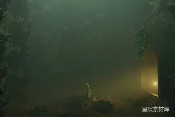 高清摄影 幽暗洞穴中的冥想骷髅