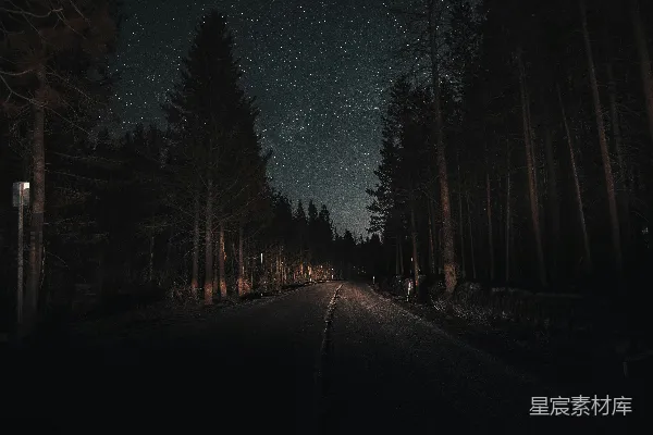 高清摄影 夜幕下的林间小路