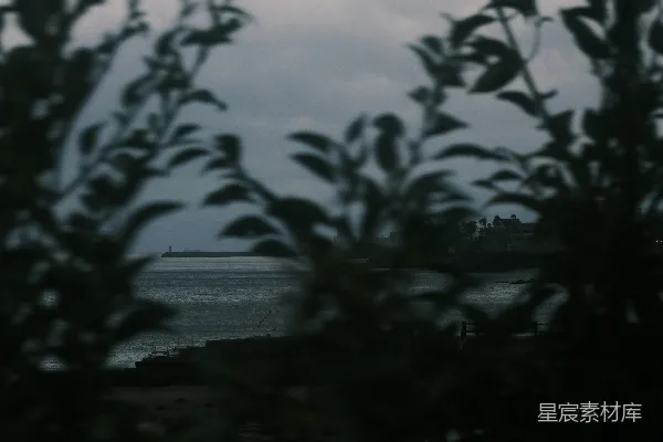 高清摄影 透过树叶看海景