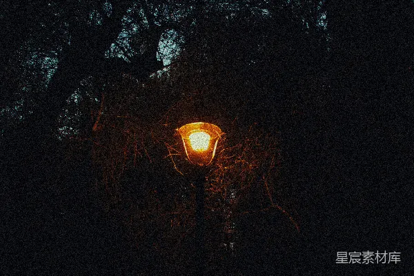 高清摄影 黑暗中的路灯