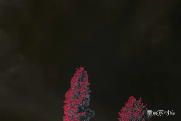 高清摄影 红色调的孤独树