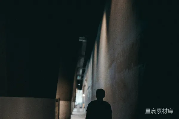 高清摄影 夜行者