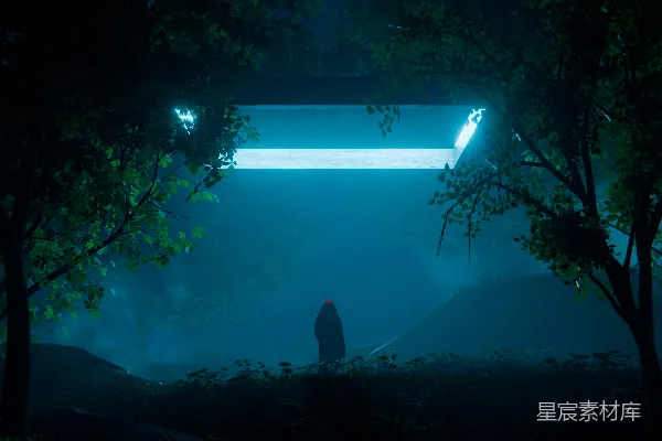 高清摄影 神秘森林中的光之指引