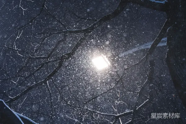 高清摄影 雪夜下的街灯