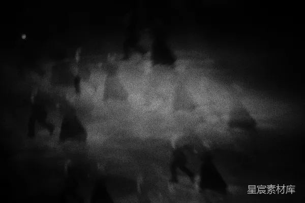 高清摄影 夜视下的野生动物