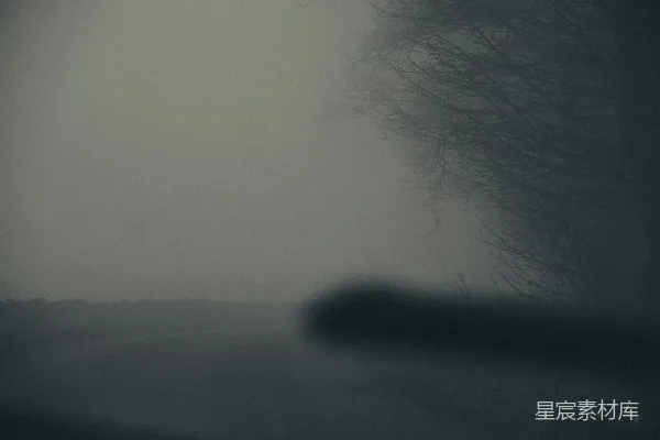 高清摄影 雾中寂静的林间小道