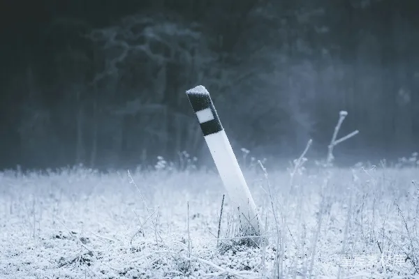 高清摄影 冬日的霜雪与路标