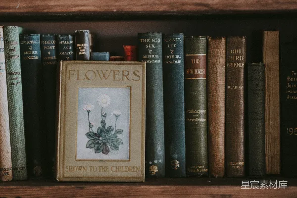 高清摄影 复古书架上的花书