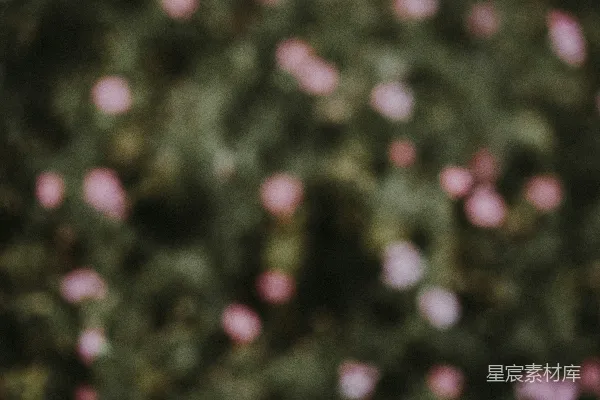 高清摄影 模糊的光斑背景