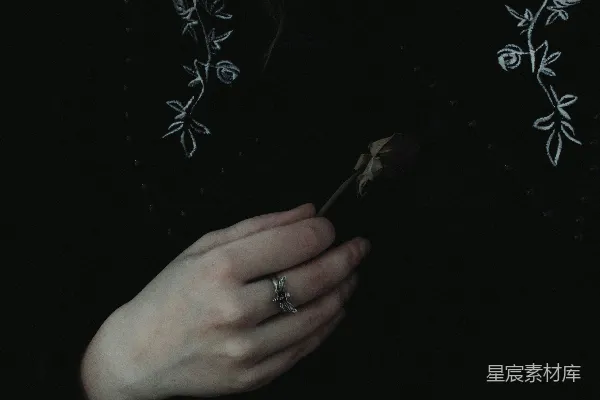 高清摄影 暗夜中的手与枯萎花朵