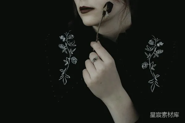 高清摄影 暗黑玫瑰，静谧之美