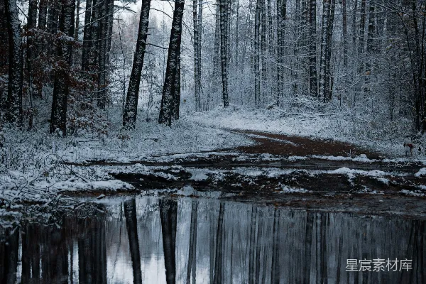 高清摄影 冬日雪景中的宁静湖面