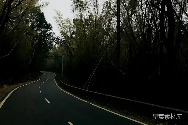 高清摄影 幽静的竹林小路