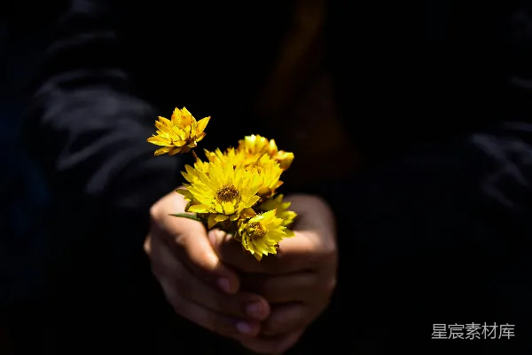 高清摄影 温暖的双手捧着阳光