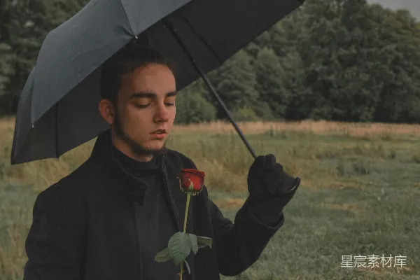 高清摄影 雨中红玫瑰