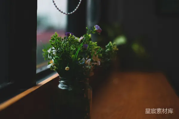高清摄影 窗边的花瓶