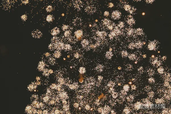 高清摄影 璀璨烟花绽放