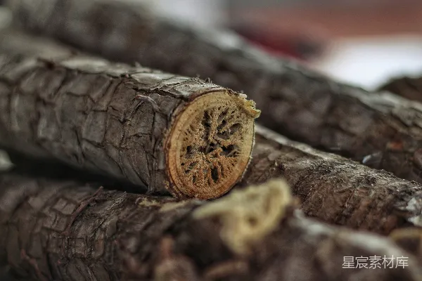 高清摄影 枯枝的纹理与年轮