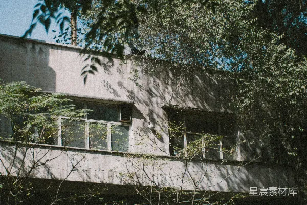 高清摄影 废弃建筑中的光影与绿植