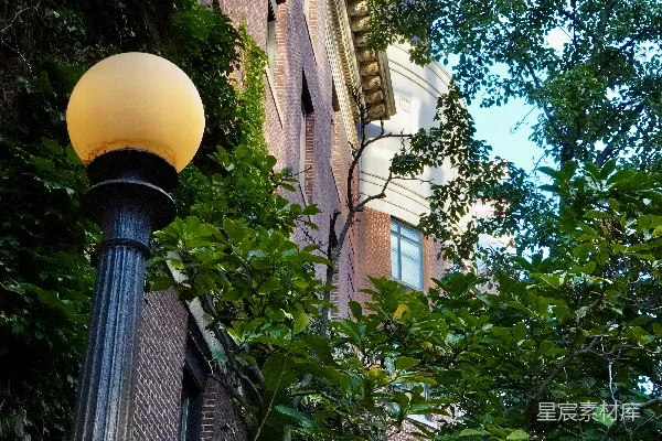 高清摄影 古朴建筑与自然的和谐