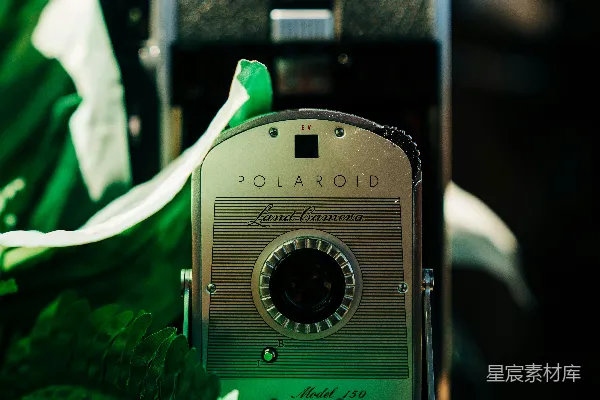 高清摄影 复古Polaroid相机与绿色植物
