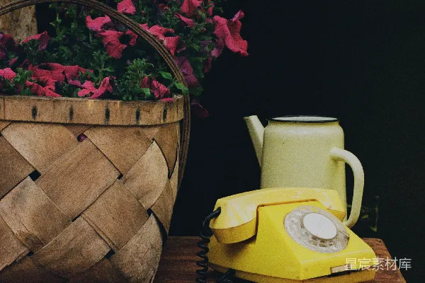 高清摄影 复古电话与花篮的静物构图