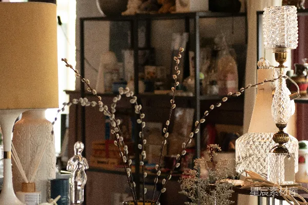 高清摄影 古董店中的温馨角落