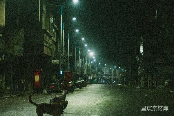 高清摄影 夜幕下的孤独行者