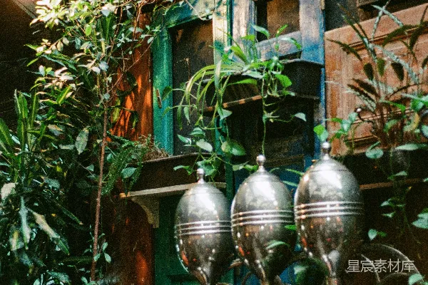 高清摄影 复古工业风植物展示室