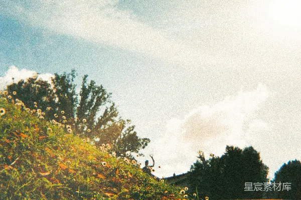 高清摄影 晨曦下的山坡
